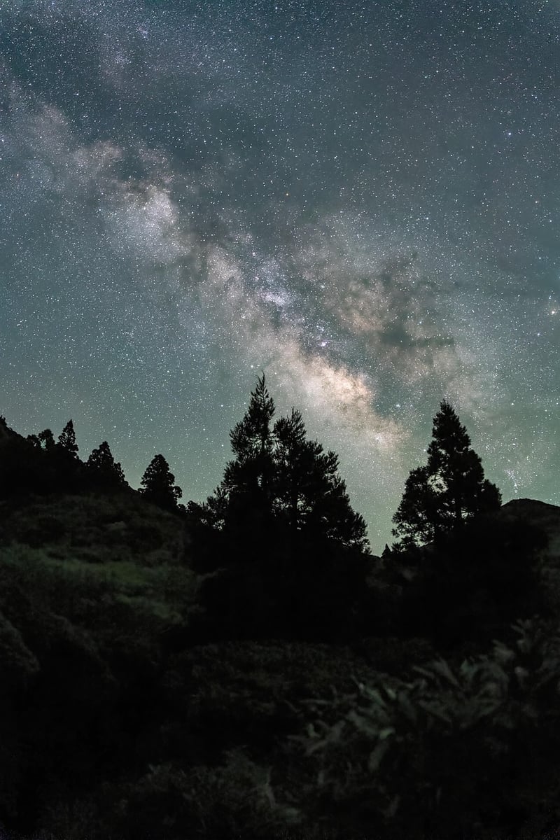 Outer Space